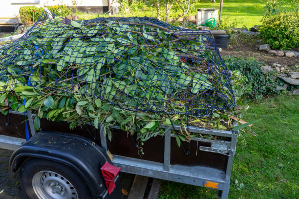 Best Furniture Removal  in , VT